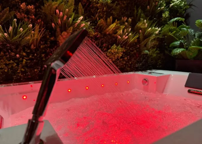 Lägenhet L'elegance - Charme - Secret - Jacuzzi - Parking Sarrebourg