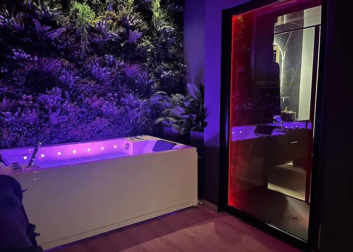 L'elegance - Charme - Secret - Jacuzzi - Parking Lägenhet *